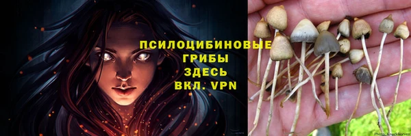 молекула духа Балахна