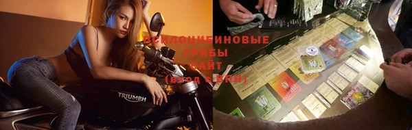 a pvp Баксан