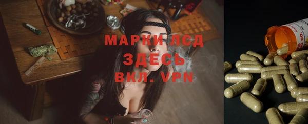 a pvp Баксан