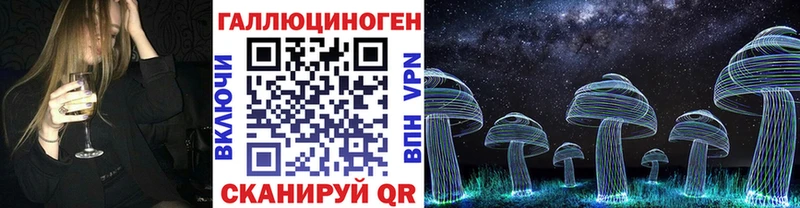 как найти   Соль-Илецк  блэк спрут как войти  Галлюциногенные грибы Psilocybe 